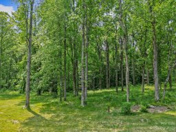 Lot 79 Mountain Grove Lane