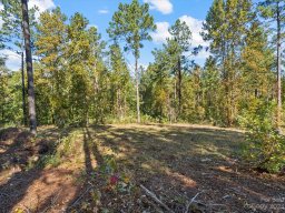 5147 Star Magnolia Court