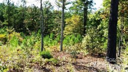 3187 Panoramic Vista Court