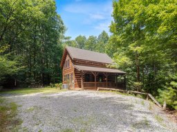 1020 Black Forest Drive