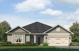 225 Mountain Island Drive