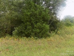 5104 Sunnystone Court