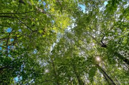 0000 Arcadia Falls Way