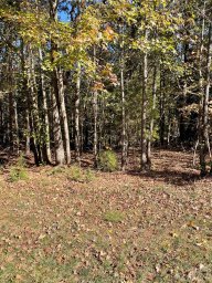 235 Badin View Drive