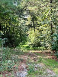 1349 Old Greenbriar Drive