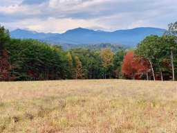 13 25 Acres Lot 67 Vista View Trail