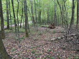 125 133 Haven Heights Drive