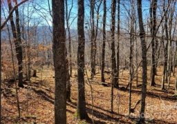 109 Pinnacle Ridge Road