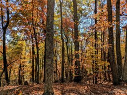 Lot 28 Hidden Lake Parkway