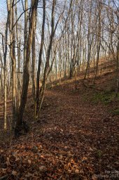 Lot 37 Sleepy Hollow Drive