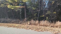 120 Pebble Creek Drive