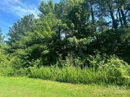 5135 Star Magnolia Court