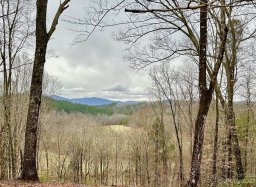 Lot 6 S Cross Creek Trail