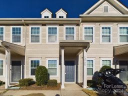 12708 Persimmon Tree Drive