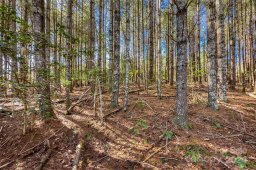 1375 Southpointe Drive