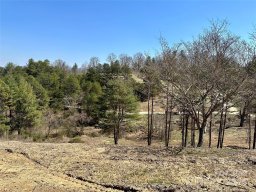 241 Westridge Farm Road