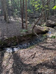 0 Clearwater Parkway