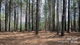 114 Table Rock Trace