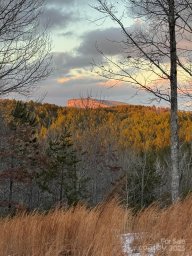 284 Bear Cliff Circle