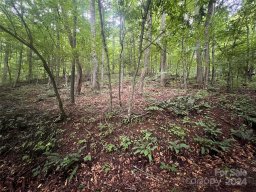 0 Country Club Drive