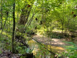 Tbd Double Eagle Drive