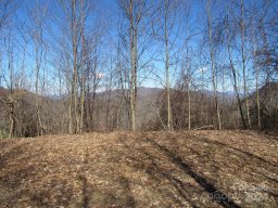 Lot 25 Appalachian Trail