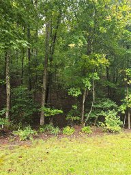 457 Island Creek Drive