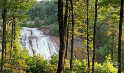 11 Lower Tanglewood Drive