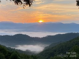 1651 Williamson Road