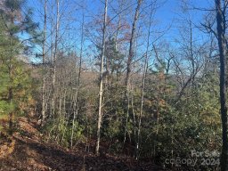 14 Spring House Trail