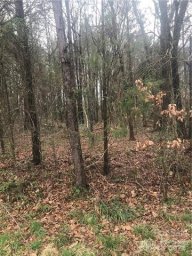 105 Spring Run Drive