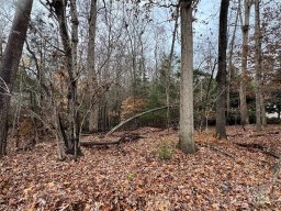 144 Uwharrie Court