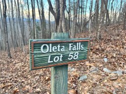 134 Bradley Ascent Court