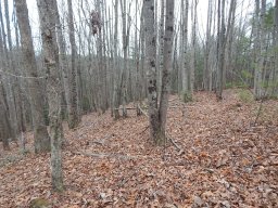 1061 Round Rock Road