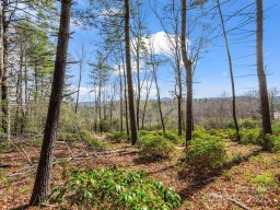 00 Winterberry Drive