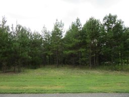 L0t 7 Stoney Run Drive