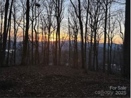 99999 Old Forest Drive