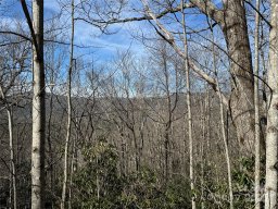 L13 Black Bear Court