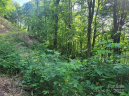 400 Mountain Laurel Road