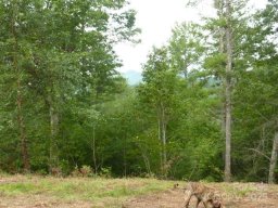 240 Thunderhead Drive