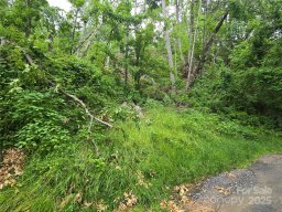 89 Weeping Cherry Forest Road