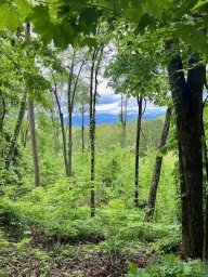 Lot 81 Ball Camp Road