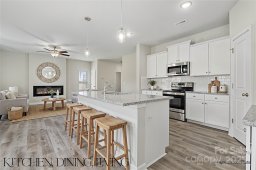 217 Lake George Drive