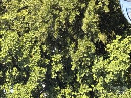 00 Summit Ridge Lane