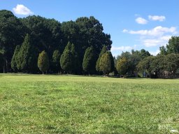 5815 Long Stirrup Lane