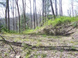 127 Red Sky Ridge Ridge