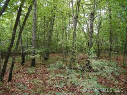0 Speckled Trout Run