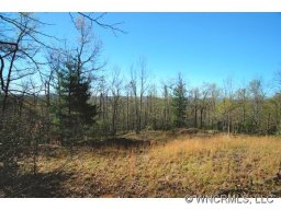 0 Speckled Trout Run