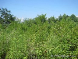 Lot 15 Sovereign Lane