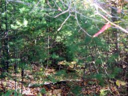 Lot 85a Doubletree Lane